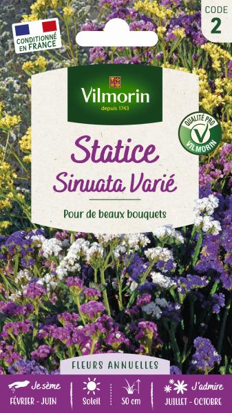 Fleurs - Statice Sinuata Variée - PACKAGING_RECTO